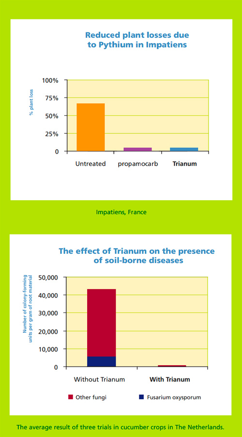 Trianum-effekt.jpg