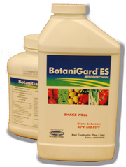 botanigard.jpg